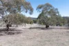 182 Bidgee Road, Binjura, NSW 2630-Image
