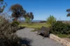 1821 Mitchell Highway, The Rocks, NSW 2795-Image