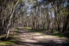 1821 Mitchell Highway, The Rocks, NSW 2795-Image
