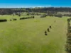 1821 Mitchell Highway, The Rocks, NSW 2795-Image