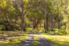 183 Beach Road, Mitchells Island NSW 2430-Image