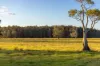 183 Beach Road, Mitchells Island NSW 2430-Image