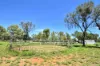 183 Heffernan Road, Connellan, NT 0873-Image