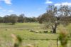 1854 Range Road, Mummel NSW 2580-Image