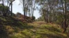 187 Kangaroo Track, Omeo, Vic 3898-Image