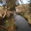 187 Wickham Street, Yarloop, WA 6218-Image