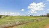 187 Wickham Street, Yarloop, WA 6218-Image