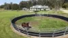 1870 Orara Way, Glenreagh, NSW 2450-Image