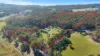 1879 Edi-Cheshunt Road, Cheshunt, Vic 3678-Image