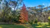 1879 Edi-Cheshunt Road, Cheshunt, Vic 3678-Image
