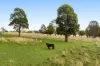 188 Valewood Road, Geham QLD 4352-Image