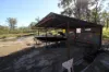 1880 Tableland Road, Mount Maria, Qld 4674-Image