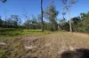 1880 Tableland Road, Mount Maria, Qld 4674-Image