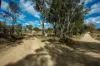 1887 Queens Pinch Road, Mudgee, NSW 2850-Image
