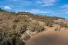 1887 Queens Pinch Road, Mudgee, NSW 2850-Image