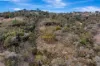 1887 Queens Pinch Road, Mudgee, NSW 2850-Image