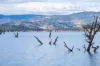 189 Wymah Ferry Road, Wymah, NSW 2640-Image