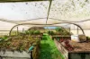 19 Back Kings Creek Road, Lawrence, NSW 2460-Image
