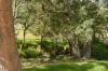 19 Dunkley Road, Capel, WA 6271-Image