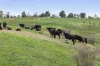 190 Konagaderra Road, Oaklands Junction, Vic 3063-Image