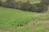 190 Konagaderra Road, Oaklands Junction, Vic 3063-Image