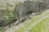 190 Konagaderra Road, Oaklands Junction, Vic 3063-Image