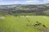 190 Konagaderra Road, Oaklands Junction, Vic 3063-Image