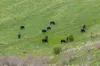 190 Konagaderra Road, Oaklands Junction, Vic 3063-Image