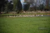 190 Reillys Lane, Oxley, Vic 3678-Image