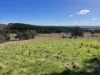 1911 Rugby Road, Bevendale, NSW 2581