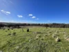 1911 Rugby Road, Bevendale, NSW 2581-Image