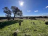 1911 Rugby Road, Bevendale, NSW 2581-Image
