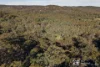 192 Tillie Willie Road, Coolah, NSW 2843-Image