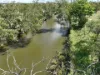 1924 Seventeen Mile Lane, Roma, Qld 4455-Image