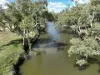 1924 Seventeen Mile Lane, Roma, Qld 4455-Image