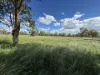 1924 Seventeen Mile Lane, Roma, Qld 4455-Image