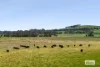 1924 Three Chain Road, Lancefield, Vic 3435-Image