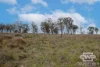 1928 Torrington Road, Stannum, NSW 2371-Image