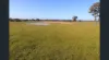 195 Camp Road, Murchison VIC 3610-Image