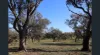 195 Camp Road, Murchison VIC 3610-Image