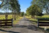 195 Glendon Road, Singleton, NSW 2330-Image