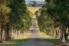 195 Glendon Road, Singleton, NSW 2330-Image