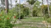1956 Yeppoon Road, Mulara, Qld 4703-Image