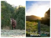 196 Richards Deviation, Dunbible, NSW 2484-Image