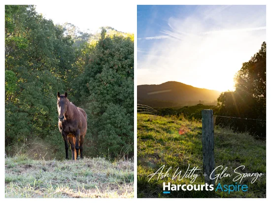 196 Richards Deviation, Dunbible, NSW 2484-Image