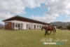 196 Richards Deviation, Dunbible, NSW 2484-Image