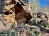 1969 Boree Valley Road, Laguna, NSW 2325-Image