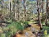 1969 Boree Valley Road, Laguna, NSW 2325-Image