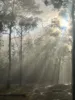 1969 Boree Valley Road, Laguna, NSW 2325-Image