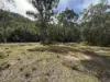 1969 Boree Valley Road, Laguna, NSW 2325-Image